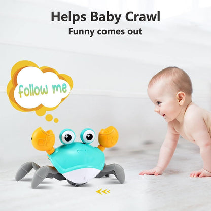 CRAWLING CRAB 2.0 (Rechargable battery)
