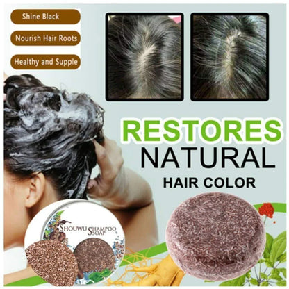 Organic Grey Reverse Shampoo Bar - Buy 1 Get 1 FREE